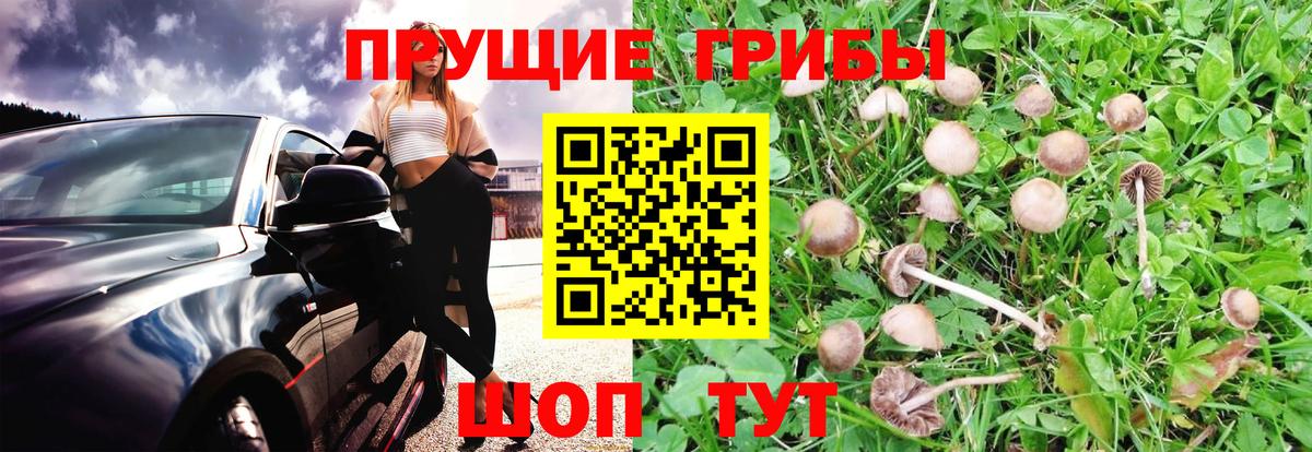 Галлюциногенные грибы мицелий Михайловск