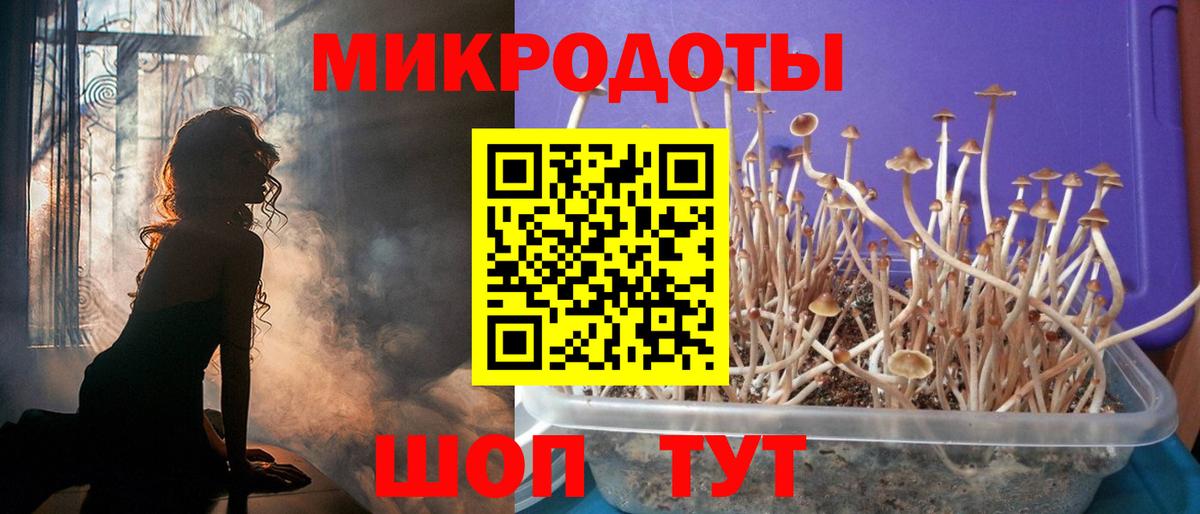 Михайловск  Галлюциногенные грибы Psilocybine cubensis  Вход с VPN 